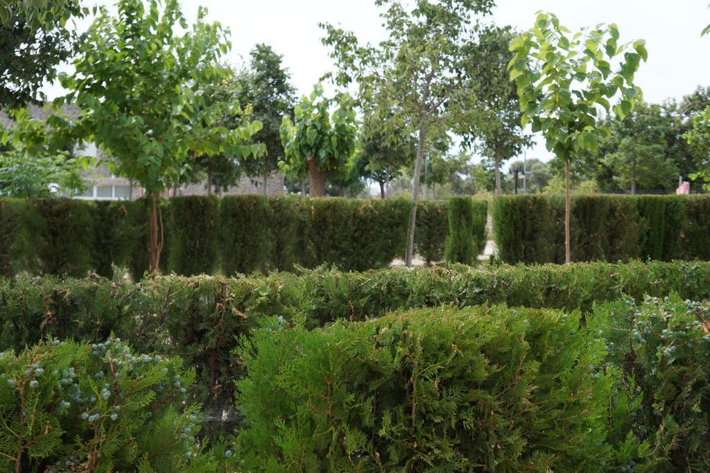 Camping Los Pinos Peniscola Bagian luar foto