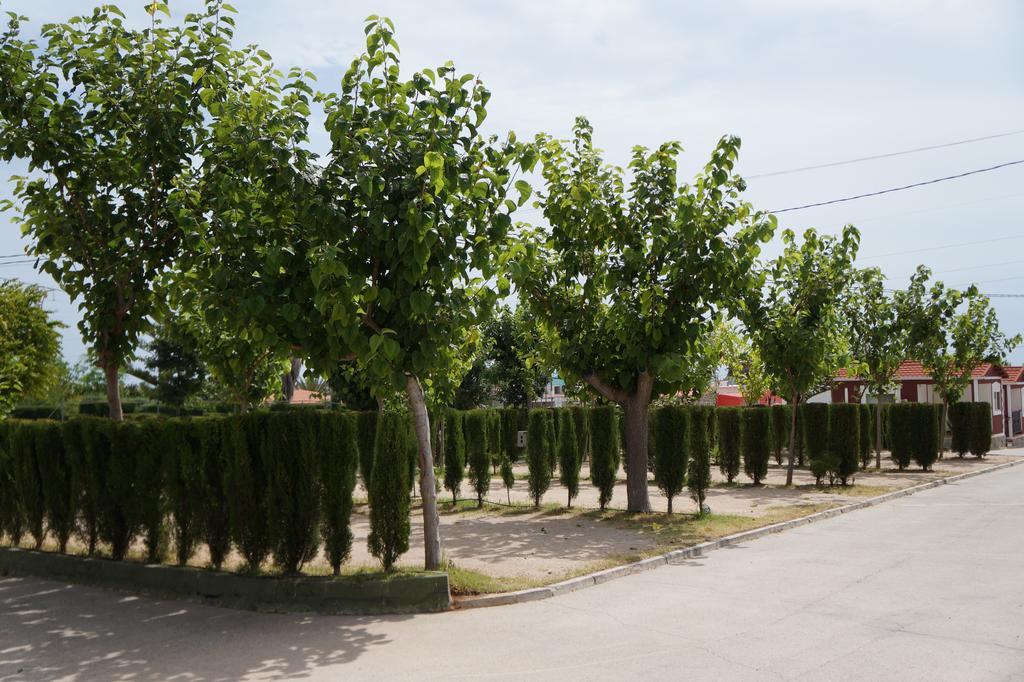 Camping Los Pinos Peniscola Bagian luar foto